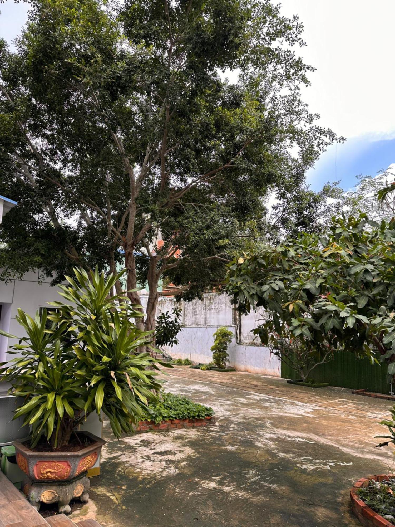 Bungalow Hotel Chi Khu Co Ong Exterior photo